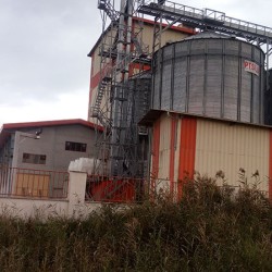 Minoo Sabah Livestock and poultry feed